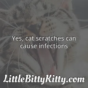 Yes cat scratches can cause infections