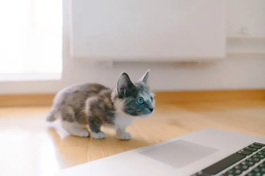 Can Cats Smell Cockroaches?