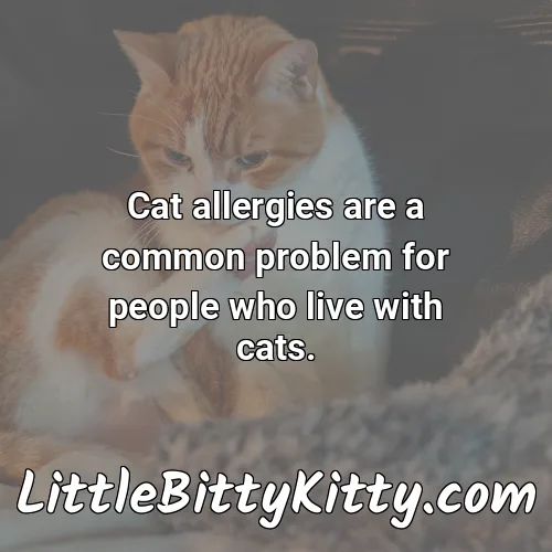 Cat allergies are a common problem for people who live with cats.