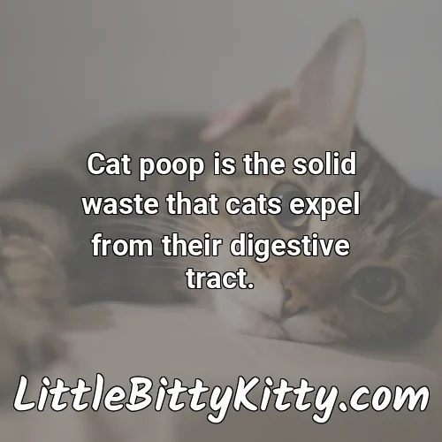 Cat poop is the solid waste that cats expel from their digestive tract.