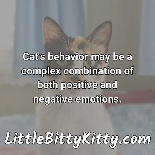Cat's behavior may be a complex combination of both positive and negative emotions.