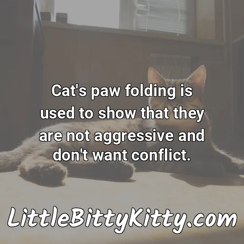 Cat's paw folding is used to show that they are not aggressive and don't want conflict.
