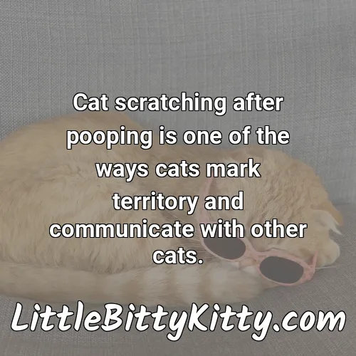 Cat scratching after pooping is one of the ways cats mark territory and communicate with other cats.