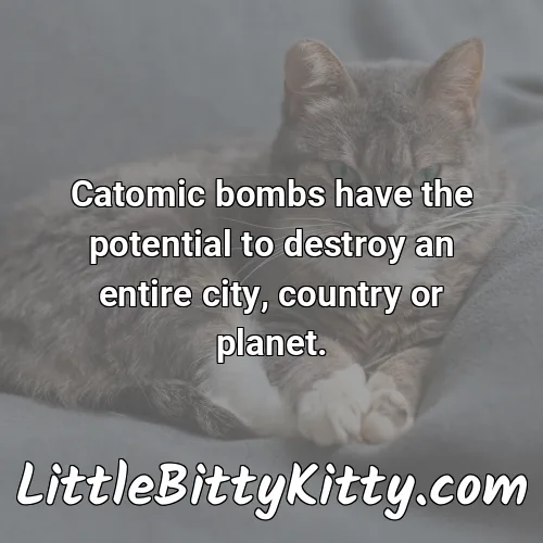 Catomic bombs have the potential to destroy an entire city, country or planet.