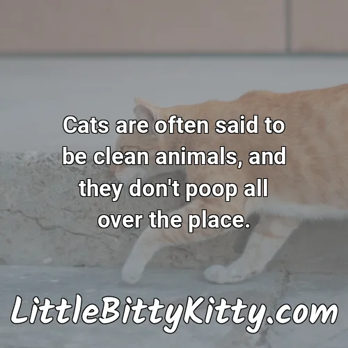 Cats are often said to be clean animals, and they don't poop all over the place.