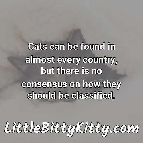 Cats can be found in almost every country, but there is no consensus on how they should be classified.