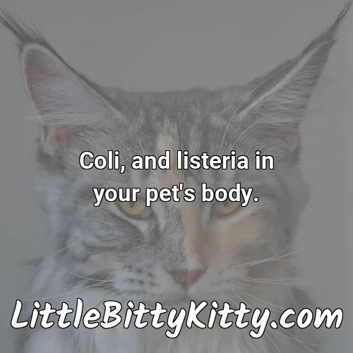Coli, and listeria in your pet's body.