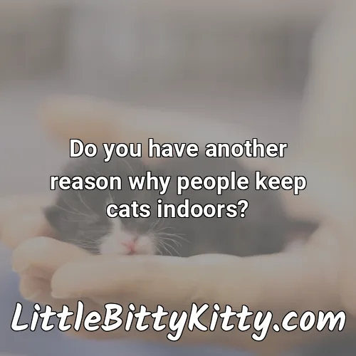 Do you have another reason why people keep cats indoors?