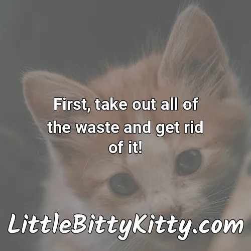 First, take out all of the waste and get rid of it!