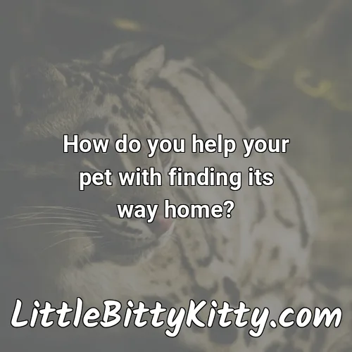 How do you help your pet with finding its way home?