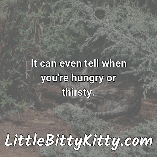 It can even tell when you're hungry or thirsty.