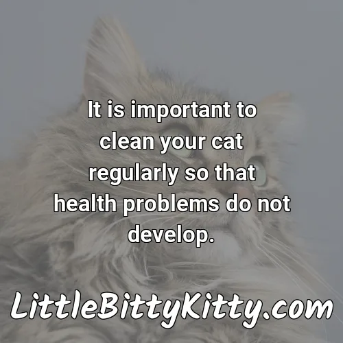It is important to clean your cat regularly so that health problems do not develop.