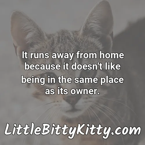 It runs away from home because it doesn't like being in the same place as its owner.