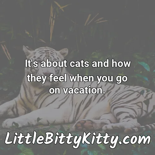 It's about cats and how they feel when you go on vacation.