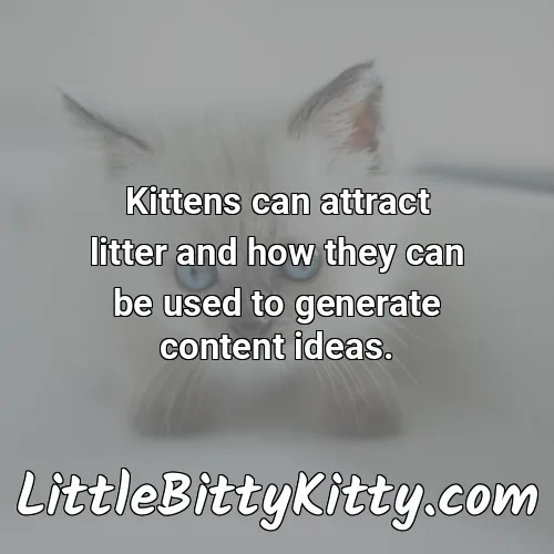 Kittens can attract litter and how they can be used to generate content ideas.