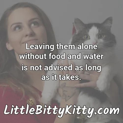 Leaving them alone without food and water is not advised as long as it takes.
