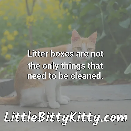 Litter boxes are not the only things that need to be cleaned.