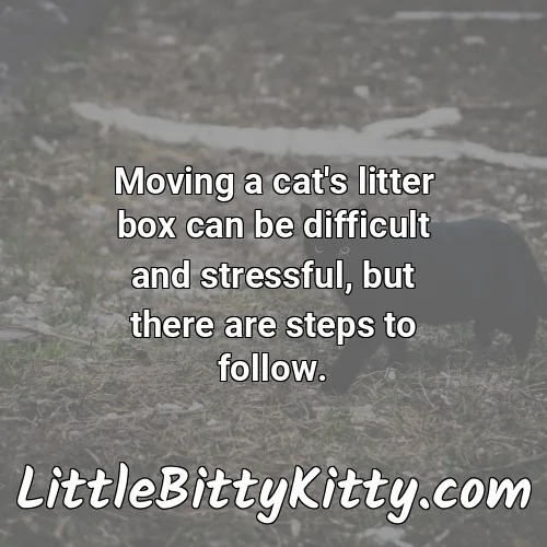 Moving a cat's litter box can be difficult and stressful, but there are steps to follow.