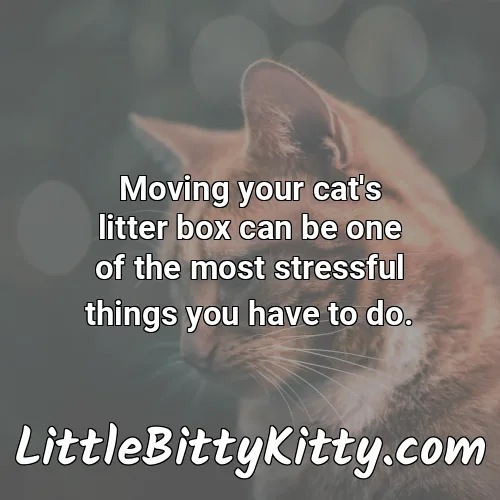 Moving your cat's litter box can be one of the most stressful things you have to do.
