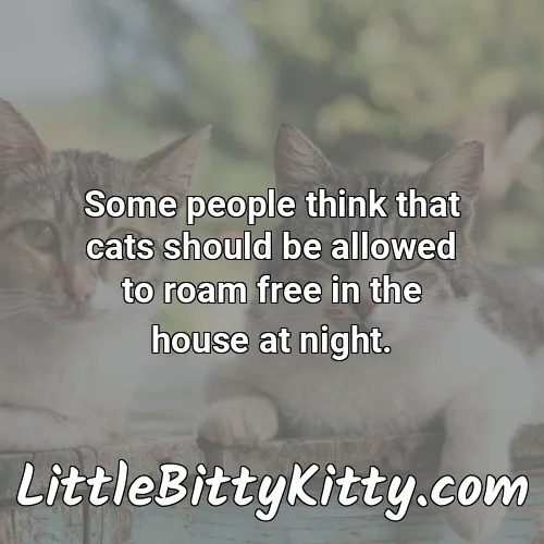 Some people think that cats should be allowed to roam free in the house at night.