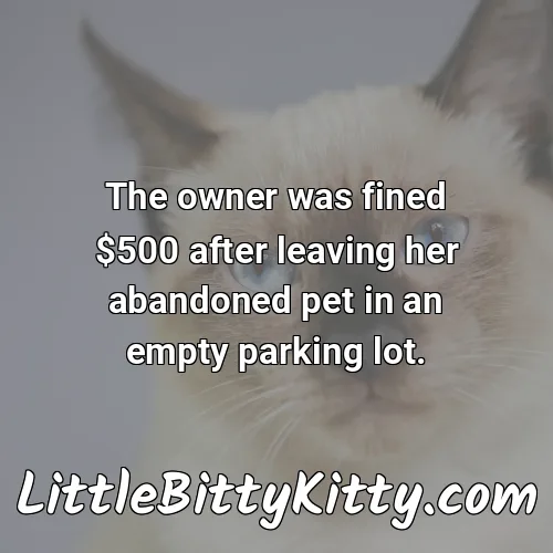 The owner was fined $500 after leaving her abandoned pet in an empty parking lot.