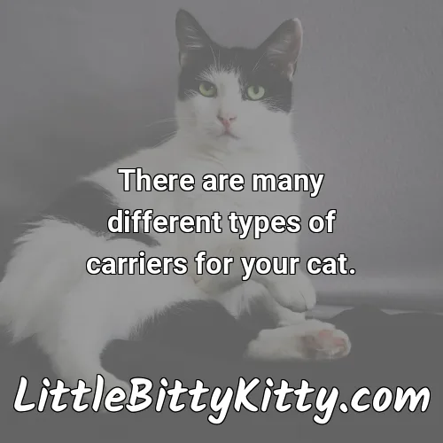 There are many different types of carriers for your cat.