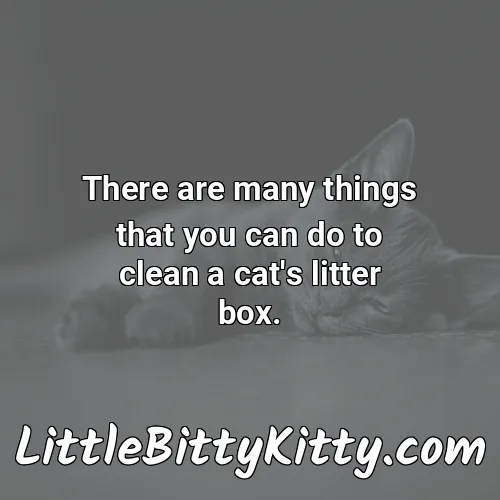 There are many things that you can do to clean a cat's litter box.