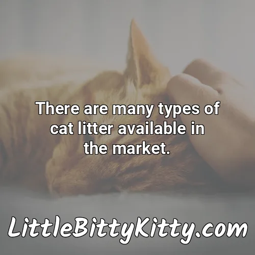 There are many types of cat litter available in the market.