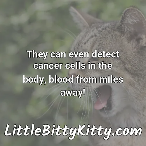 They can even detect cancer cells in the body, blood from miles away!