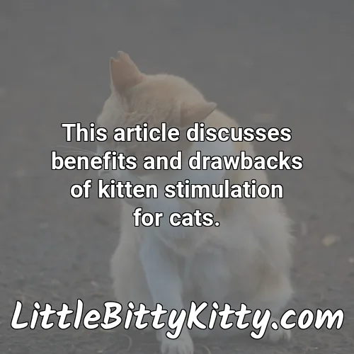 This article discusses benefits and drawbacks of kitten stimulation for cats.