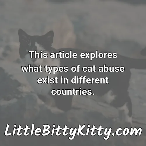 This article explores what types of cat abuse exist in different countries.