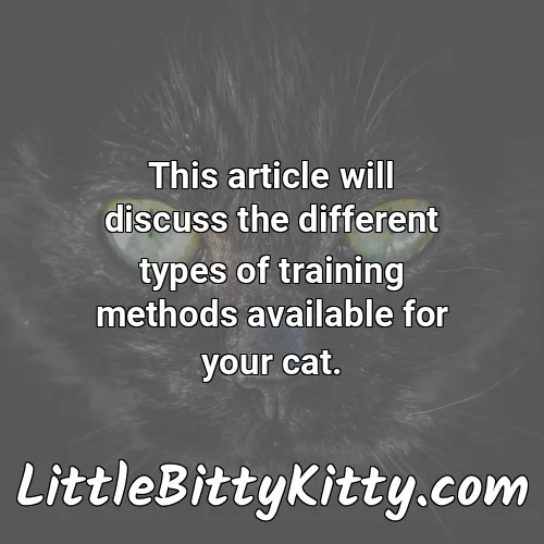 This article will discuss the different types of training methods available for your cat.