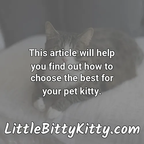 This article will help you find out how to choose the best for your pet kitty.
