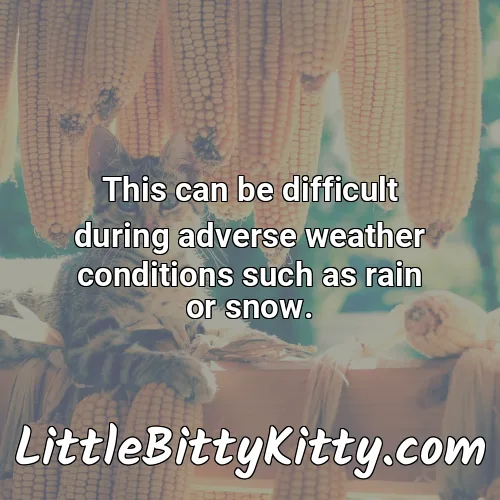 This can be difficult during adverse weather conditions such as rain or snow.