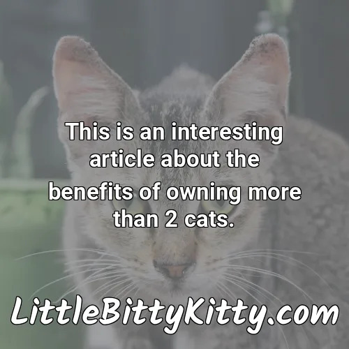 This is an interesting article about the benefits of owning more than 2 cats.