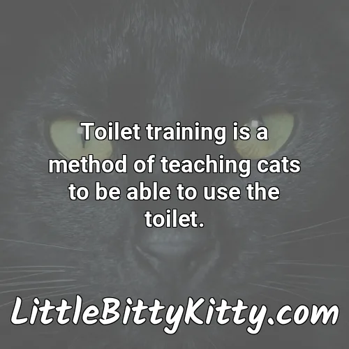 Toilet training is a method of teaching cats to be able to use the toilet.
