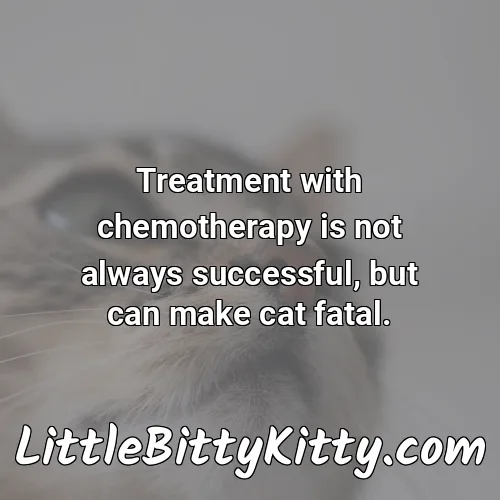 Treatment with chemotherapy is not always successful, but can make cat fatal.