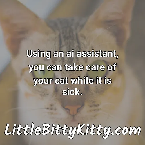Using an ai assistant, you can take care of your cat while it is sick.