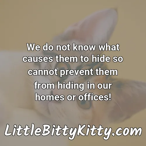 We do not know what causes them to hide so cannot prevent them from hiding in our homes or offices!