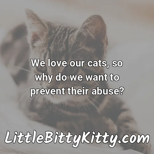 We love our cats, so why do we want to prevent their abuse?