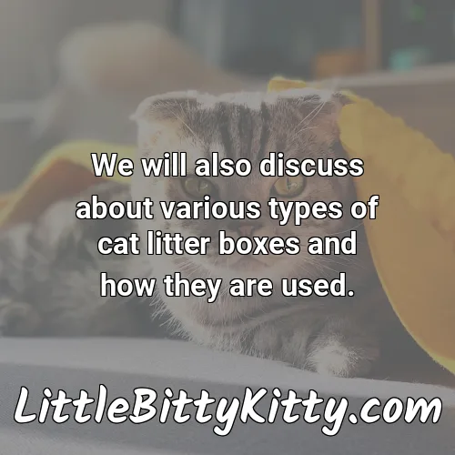 We will also discuss about various types of cat litter boxes and how they are used.
