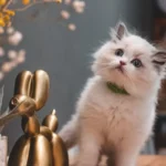 4-Week-Old Kittens and Litter Boxes: A Complete Guide