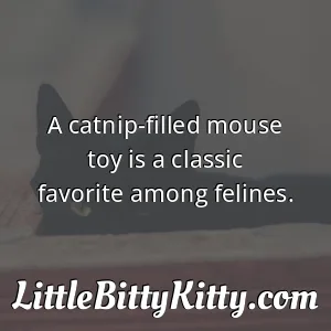 A catnip-filled mouse toy is a classic favorite among felines.