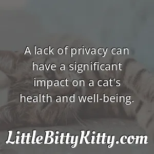 A lack of privacy can have a significant impact on a cat's health and well-being.