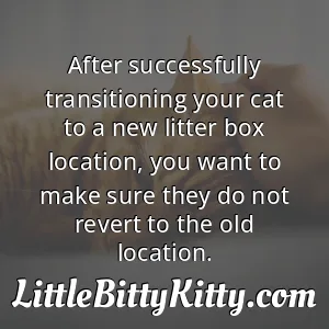After successfully transitioning your cat to a new litter box location, you want to make sure they do not revert to the old location.