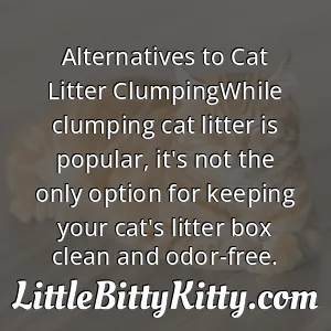 Alternatives to Cat Litter ClumpingWhile clumping cat litter is popular, it's not the only option for keeping your cat's litter box clean and odor-free.