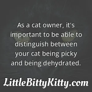 As a cat owner, it's important to be able to distinguish between your cat being picky and being dehydrated.