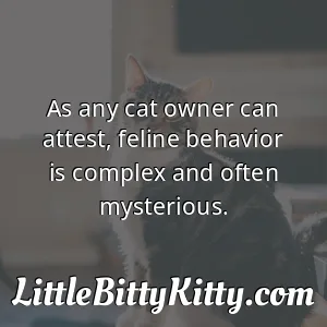 As any cat owner can attest, feline behavior is complex and often mysterious.