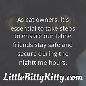 As cat owners, it's essential to take steps to ensure our feline friends stay safe and secure during the nighttime hours.