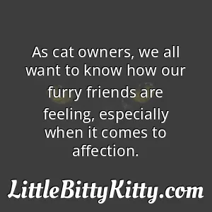 As cat owners, we all want to know how our furry friends are feeling, especially when it comes to affection.